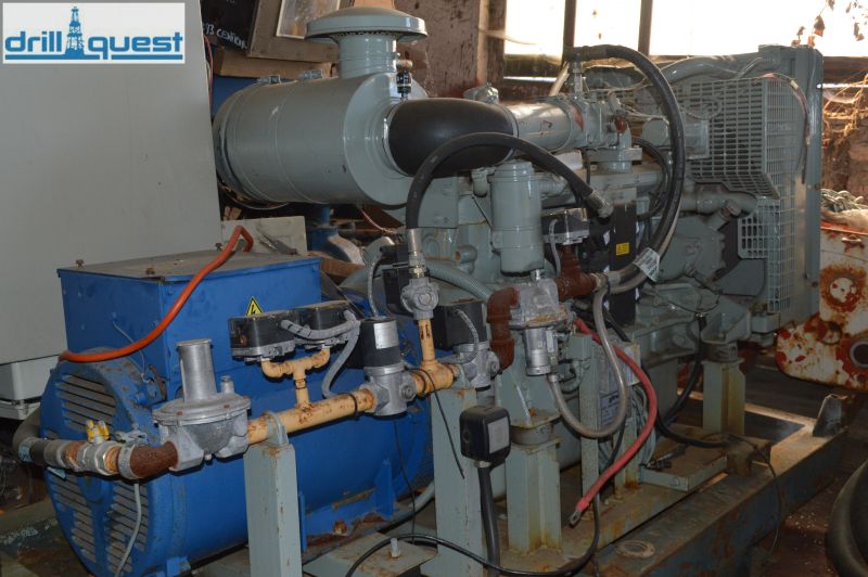 Natrural gas generator